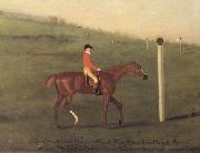 Francis Sartorius, 'Eclipse' with Jockey up walking the Course for the King's Plate 1776